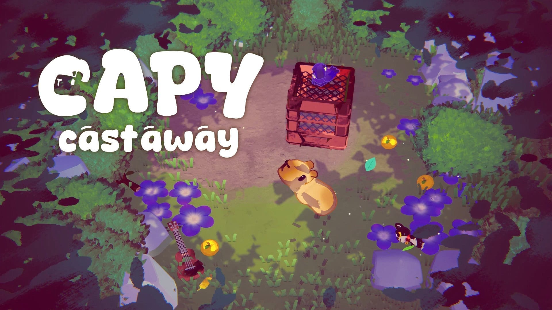 Discover the Enchanting World of Capy Castaway